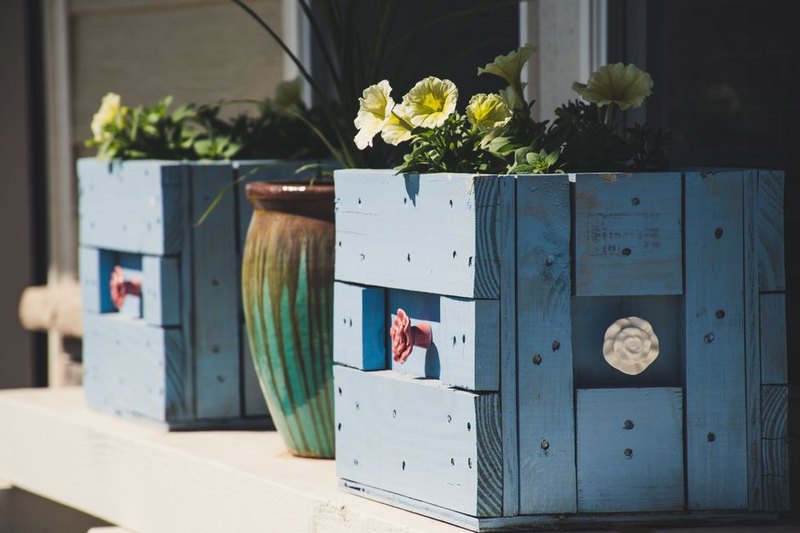 Pharaoh's Rose Gift Box